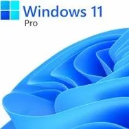 MICROSOFT WINDOWS 11 PROFESSIONAL 64 BITS OEM - SOLO CON EQUIPO NUEVO